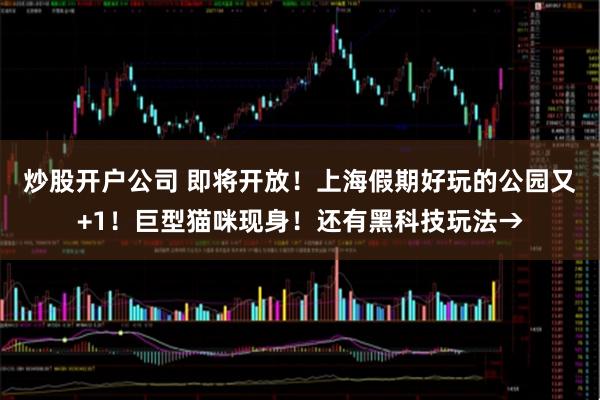 炒股开户公司 即将开放！上海假期好玩的公园又+1！巨型猫咪现身！还有黑科技玩法→