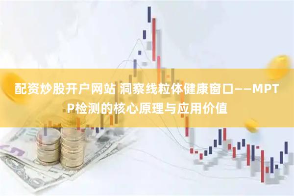 配资炒股开户网站 洞察线粒体健康窗口——MPTP检测的核心原理与应用价值