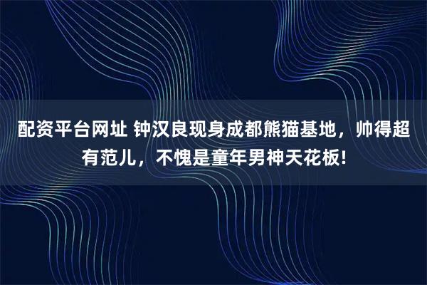 配资平台网址 钟汉良现身成都熊猫基地，帅得超有范儿，不愧是童年男神天花板!