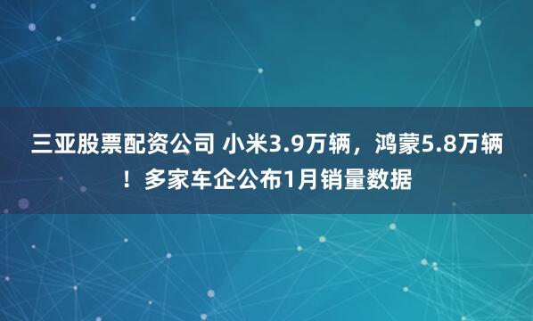 三亚股票配资公司 小米3.9万辆，鸿蒙5.8万辆！多家车企公布1月销量数据