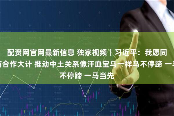 配资网官网最新信息 独家视频丨习近平：我愿同你共商合作大计 推动中土关系像汗血宝马一样马不停蹄 一马当先